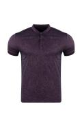 Regular Fit Polo Neck Printed T-Shirt