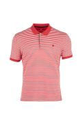 Regular Fit Polo Neck Short Sleeve Striped T-Shirt